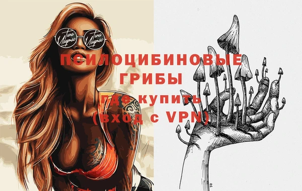 ГАЛЛЮЦИНОГЕННЫЕ ГРИБЫ Алзамай