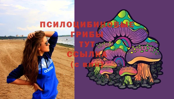 эйфоретик Абинск