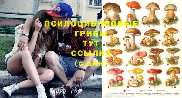 Альфа ПВП Абдулино