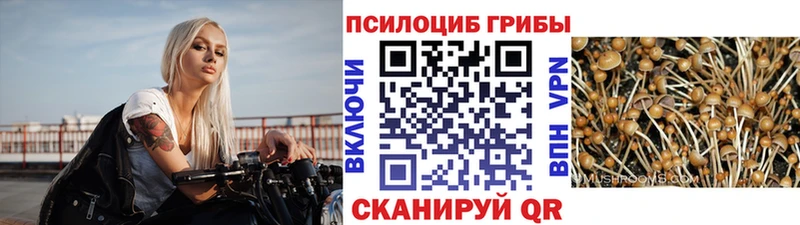 Галлюциногенные грибы Cubensis  наркотики  Ува 